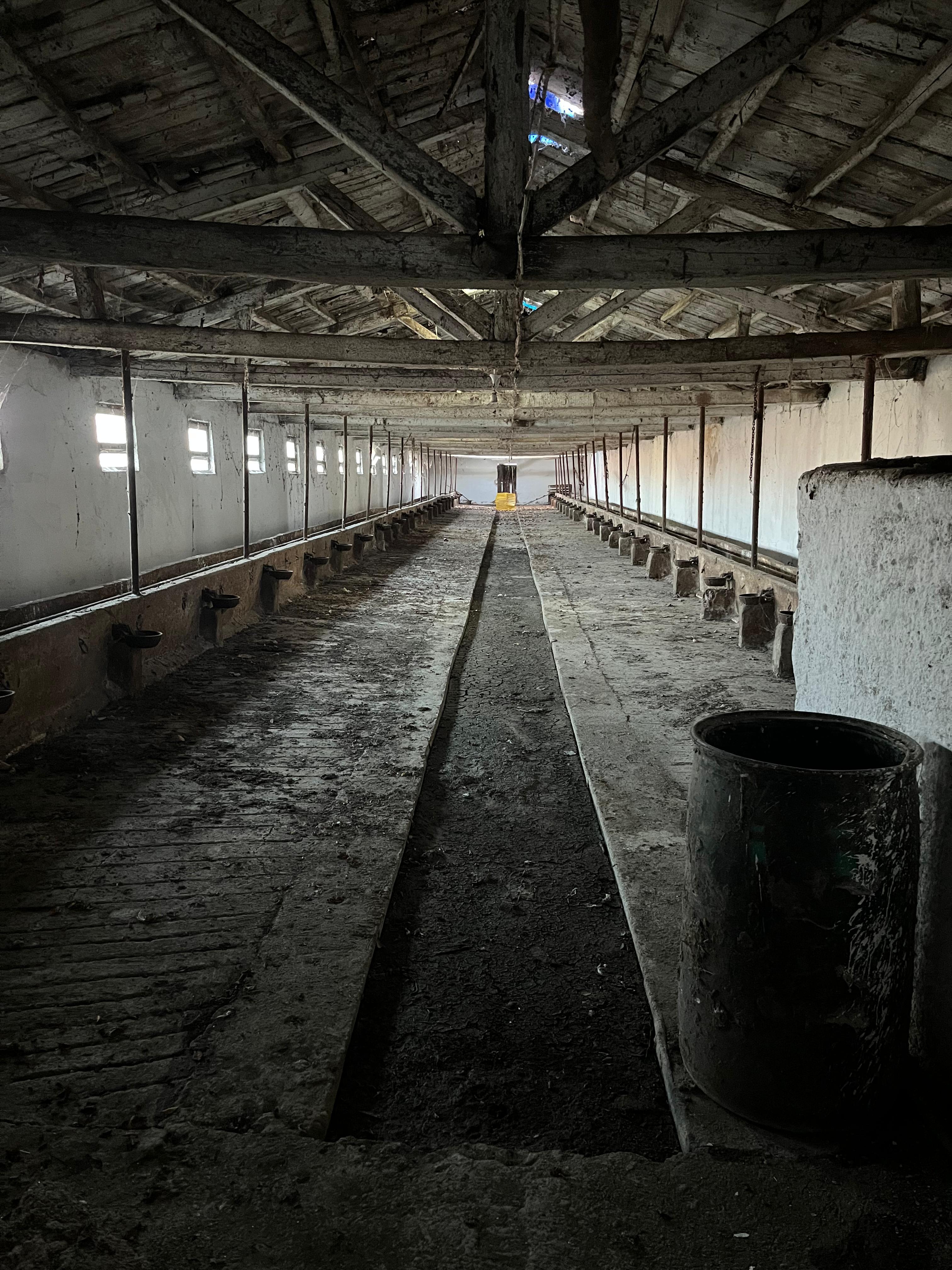 MABEL'DEN KURULU DÜZEN BESİ ÇİFTLİĞİ